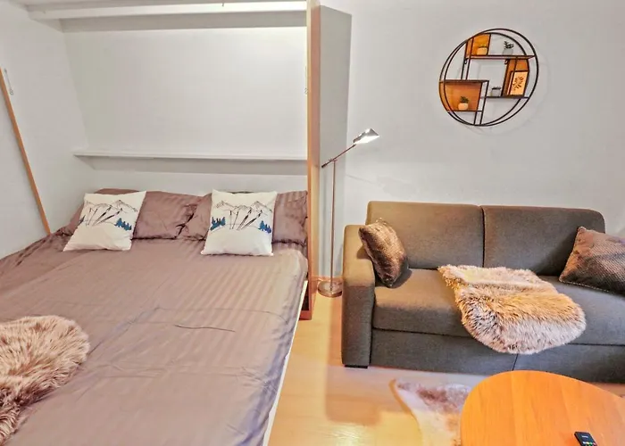 公寓 Chaleureux Plein Centre